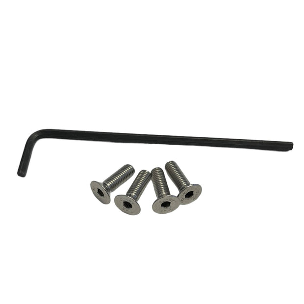 Fog Light Screws Stainless Steel - SW20